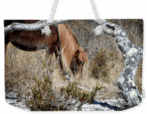 assateague pony beach tote bag